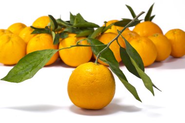 Portakallar beyaz arkaplanda izole edilmiş