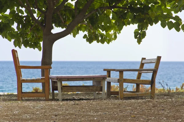 Bench on the beach under a tree with mediterranean sea view — Stock Photo, Image