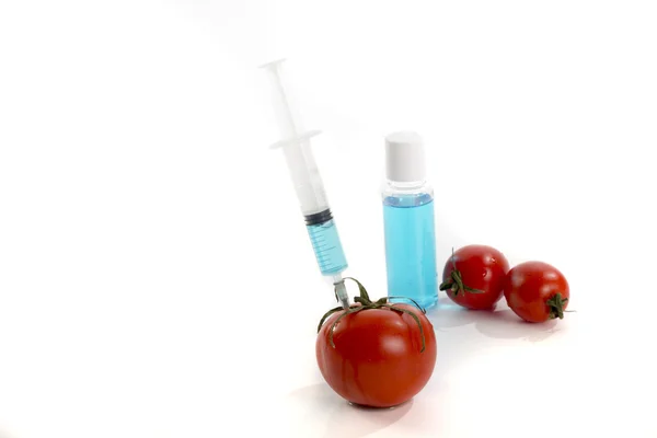 Geneticky modifikované rajčat vakcína — Stock fotografie