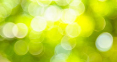 soyut bulanık doğa arka plan ve güneş ışığı.