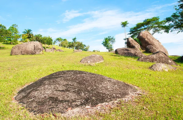 Big stone garden 