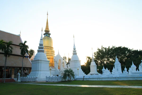 Pagode dorée à Wat Suan Dok, Chiangmai, Thaïlande au coucher du soleil . — Photo