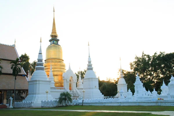  Golden pagoda adlı Wat Suan Dok, Chiangmai, Tayland günbatımı.