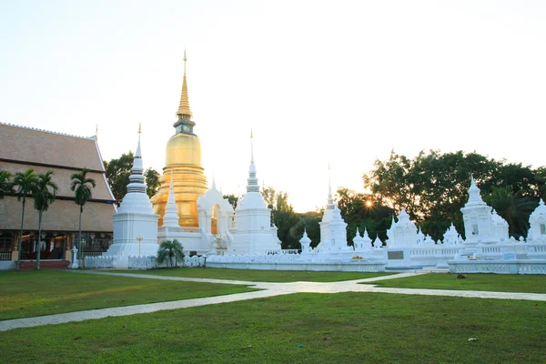  Golden pagoda adlı Wat Suan Dok, Chiangmai, Tayland günbatımı.