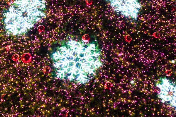 Luzes de Natal penduradas em uma árvore no dia de crismas — Fotografia de Stock