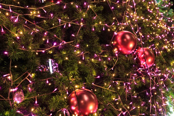 Chrismas gün gece güzel Noel ağacı 