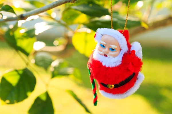 Noel Baba chrismas ağacında Bahçe arka plan üzerinde