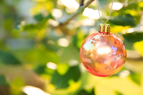 Noel baubles chrismas ağaç üzerinde