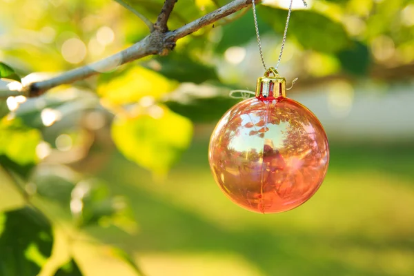 Noel baubles chrismas ağaç üzerinde