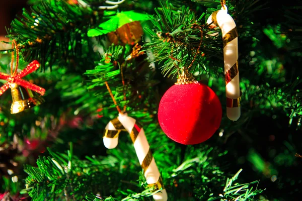 Noel dekorasyonu, çam kozalakları, Hediyelik, baubles, Noel ağacı üzerinde