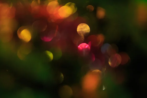 Bokeh การตกแต่งคริสต์มาสบนต้นคริสต์มาส — ภาพถ่ายสต็อก