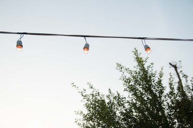  Bahçe içinde güzel antika ampul 