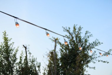  Bahçe içinde güzel antika ampul 