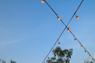 Bahçe içinde güzel antika ampul 