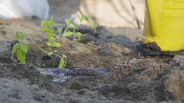 Ukrayna 'nın Kyiv kentindeki Güney Köprüsü' nün çember görüntüsü.
