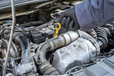Motordaki yağ değişimi üzerine tamirci bir sondadaki seviyeyi ve kaliteyi kontrol ediyor. motor servisi