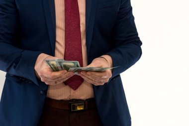 İşadamı, beyazdan izole edilmiş parayı sayar. Takım elbiseli bir adam ya para kazanır ya da kazanır. - Dolar hesabı. Zenginlik kavramı