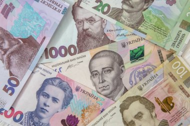 Tasarım için yeni Ukrayna para banknotları. Nakit.