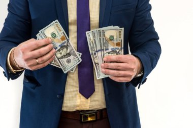 İşadamı, beyazdan izole edilmiş parayı sayar. Takım elbiseli bir adam ya para kazanır ya da kazanır. - Dolar hesabı. Zenginlik kavramı