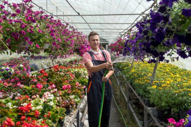 Çiçekçi suları ve boruları endüstriyel serada farklı renkte çiçekler.