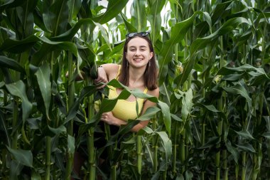  Yeşil mısır tarlasında poz veren güzel bir kızın portresi. Yaz tatilinin tadını çıkar.