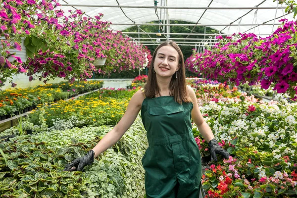 portrait of female nursery who working  with  flowers in the beautiful bright  greenhouse in sunny day