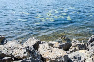 Ternopil güzel su birikintisi