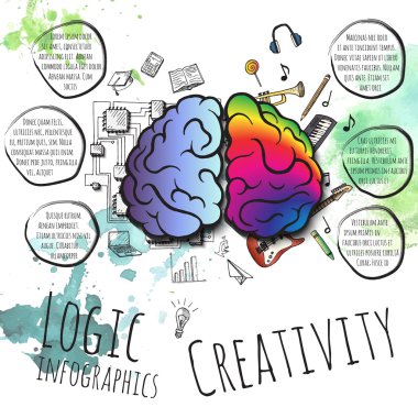 Beynin sağ ve sol hemisfer.