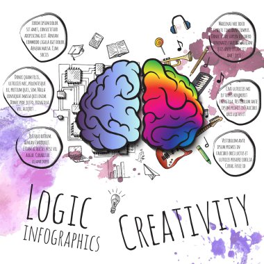 Beynin sağ ve sol hemisfer.