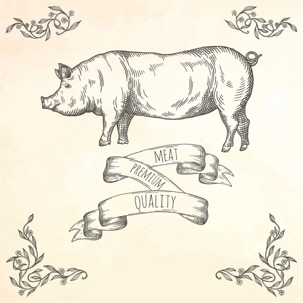 Ilustração de porco desenhado à mão . —  Vetores de Stock