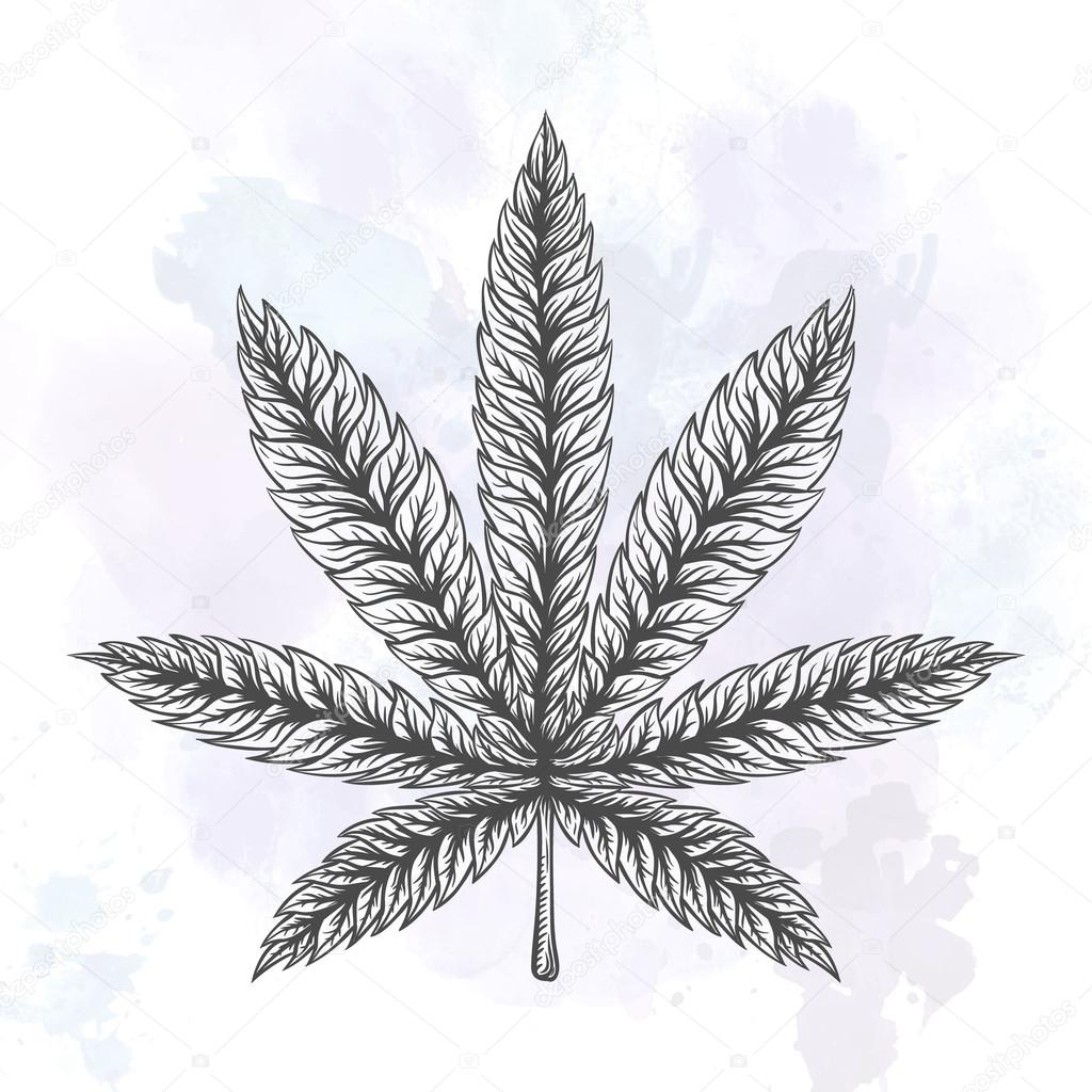 Marijuana stuff collection. Hand drawn isolated illustrations on watercolor background.