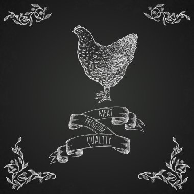 Çizilmiş tavuk illüstrasyon el.