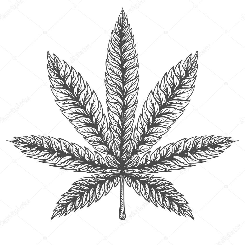 Marijuana stuff collection. Hand drawn isolated illustrations on watercolor background.