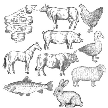 Çiftlik hayvanları..