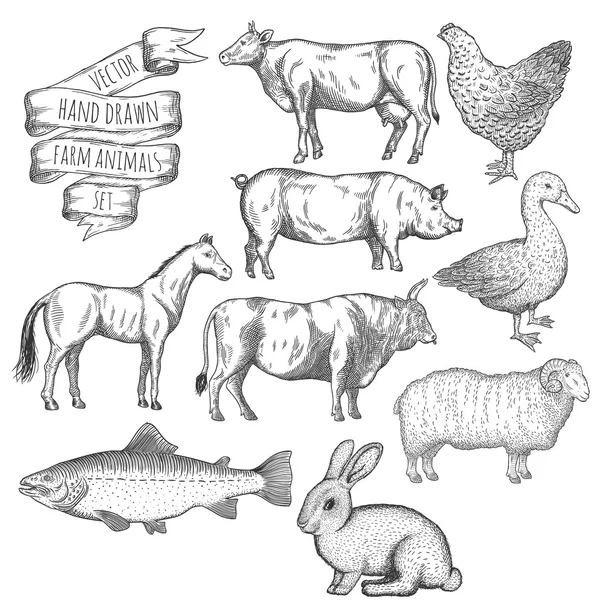 Grupo de animales de granja . — Archivo Imágenes Vectoriales