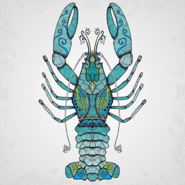 Istakoz. İzole illüstrasyon el çekilmiş.