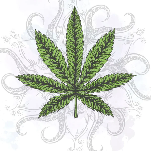 Marihuana-Blatt. handgezeichnete isolierte Illustrationen. — Stockvektor