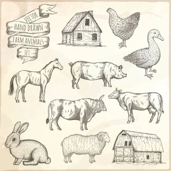 Grupo de animales de granja . — Archivo Imágenes Vectoriales