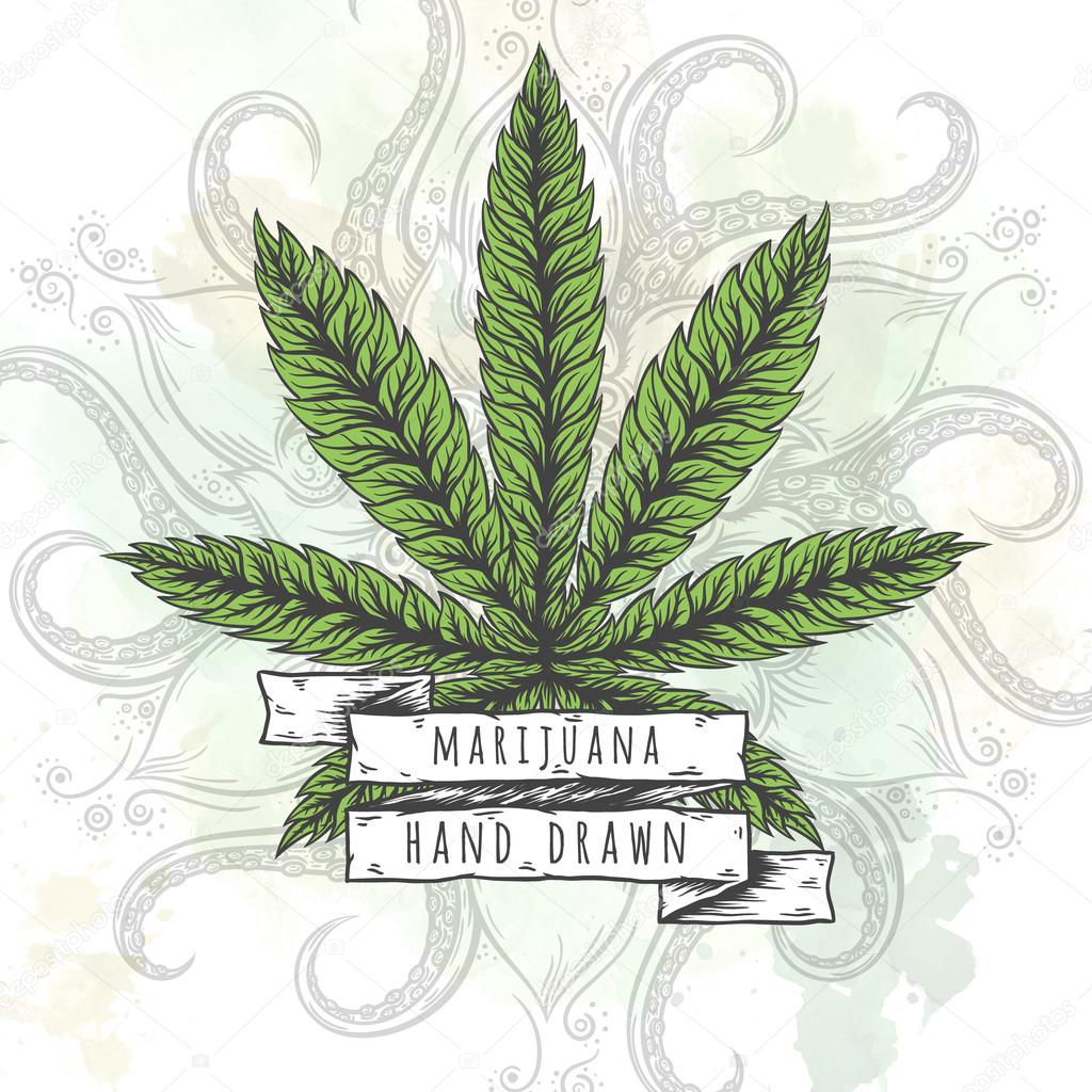 Marijuana leaf. Hand drawn isolated illustrations on abstract watercolor background.