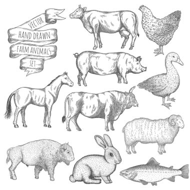 Çiftlik hayvanları..