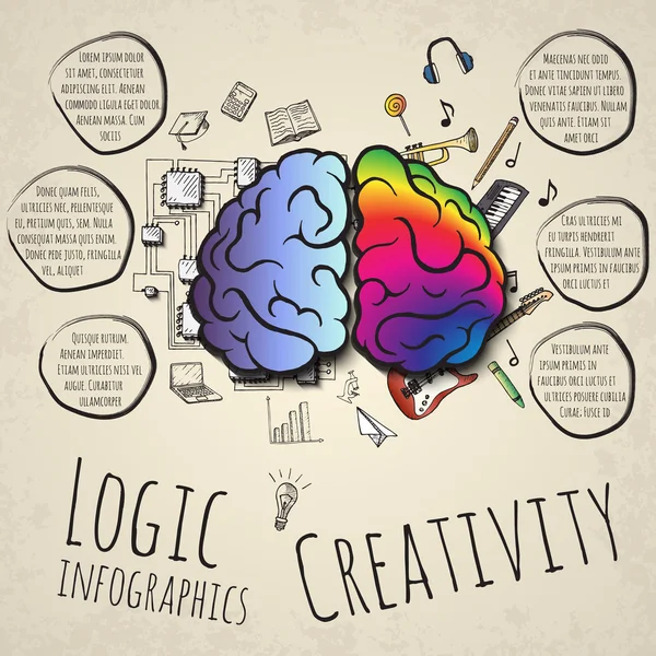 Los hemisferios izquierdo y derecho del cerebro . — Vector de stock