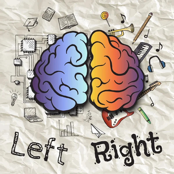 De linker en rechter hemisferen van de hersenen. — Stockvector