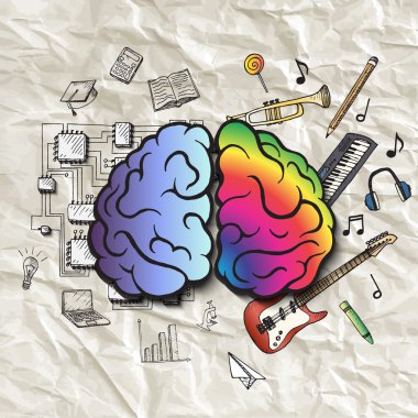 Beynin sağ ve sol hemisfer.