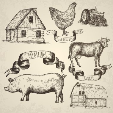 Farm collection. Hand drawn isolated elements. clipart