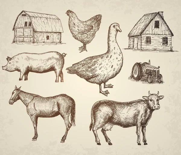 Farm collection. Vector illustration. — Stock Vector