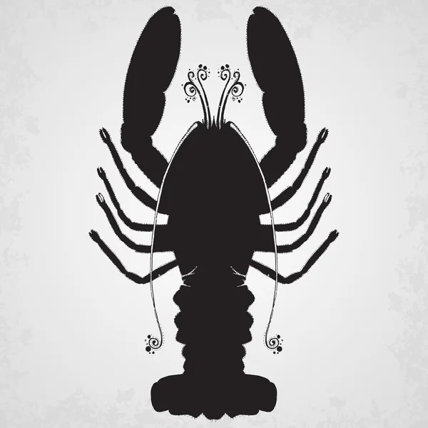 Du homard. Illustration isolée dessinée main . — Image vectorielle