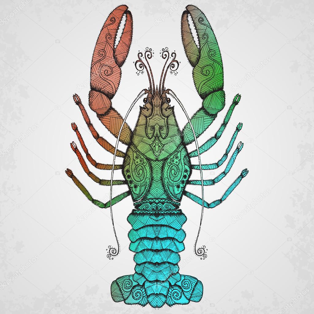 Lobster. Hand drawn isolated illustration.