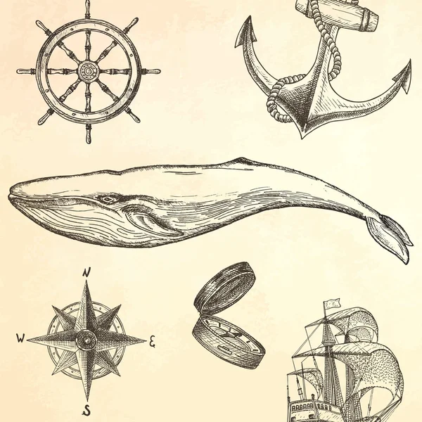 Gravura mão baleia desenhada . — Vetor de Stock