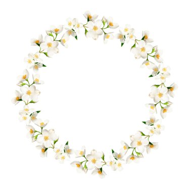 Beyaz arka planda izole edilmiş yasemin çiçeklerinden yapılmış dairesel çelenk. Düğün davetiyeleri için çiçek çerçevesi, tebrik kartları, yaratıcı tasarım, kolaj ve romantik tasarım.