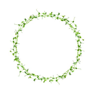 Beyaz arka planda izole edilmiş bezelye mikroyeşillerinden yapılmış yuvarlak çerçeve. Taze yeşil çelenk büyümeyi, yenilenmeyi ve doğal yaşam tarzını sembolize eder..